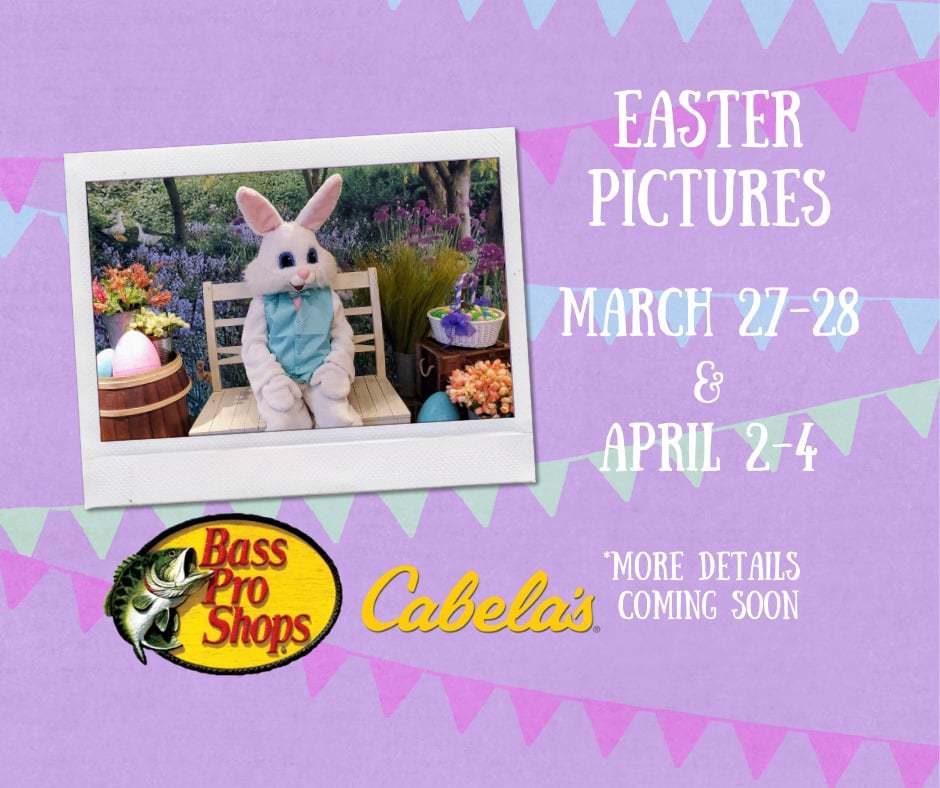 bass pro shops cabelas easter pictures Charlotte On The Cheap