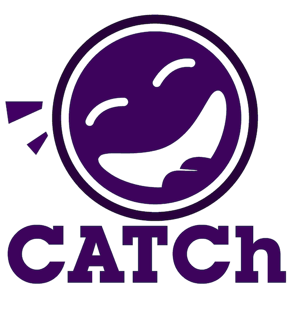Change the Order of Catches in Try Catch - Help - UiPath Community Forum