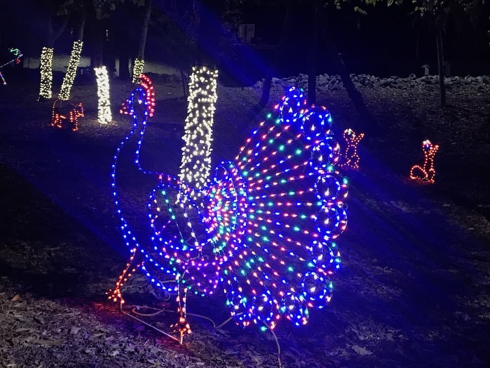 Christmas light shows in Kings Mountain - Charlotte On The Cheap