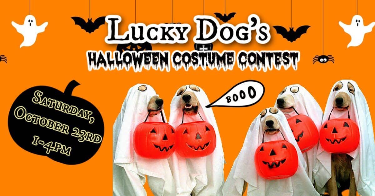 Legendary Dog Costume Contest in Nashville at Jackalope Brewing