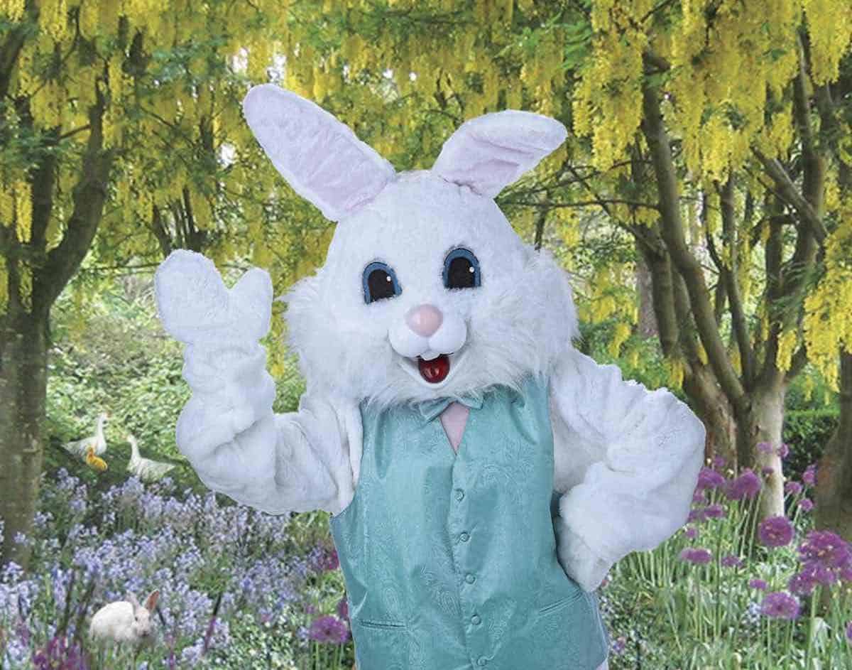 Free Easter Bunny pictures at Bass Pro Shops and Cabela's Charlotte