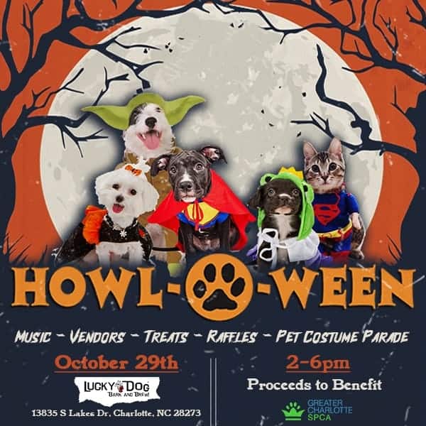 Lucky Pets Dog Halloween costume contest