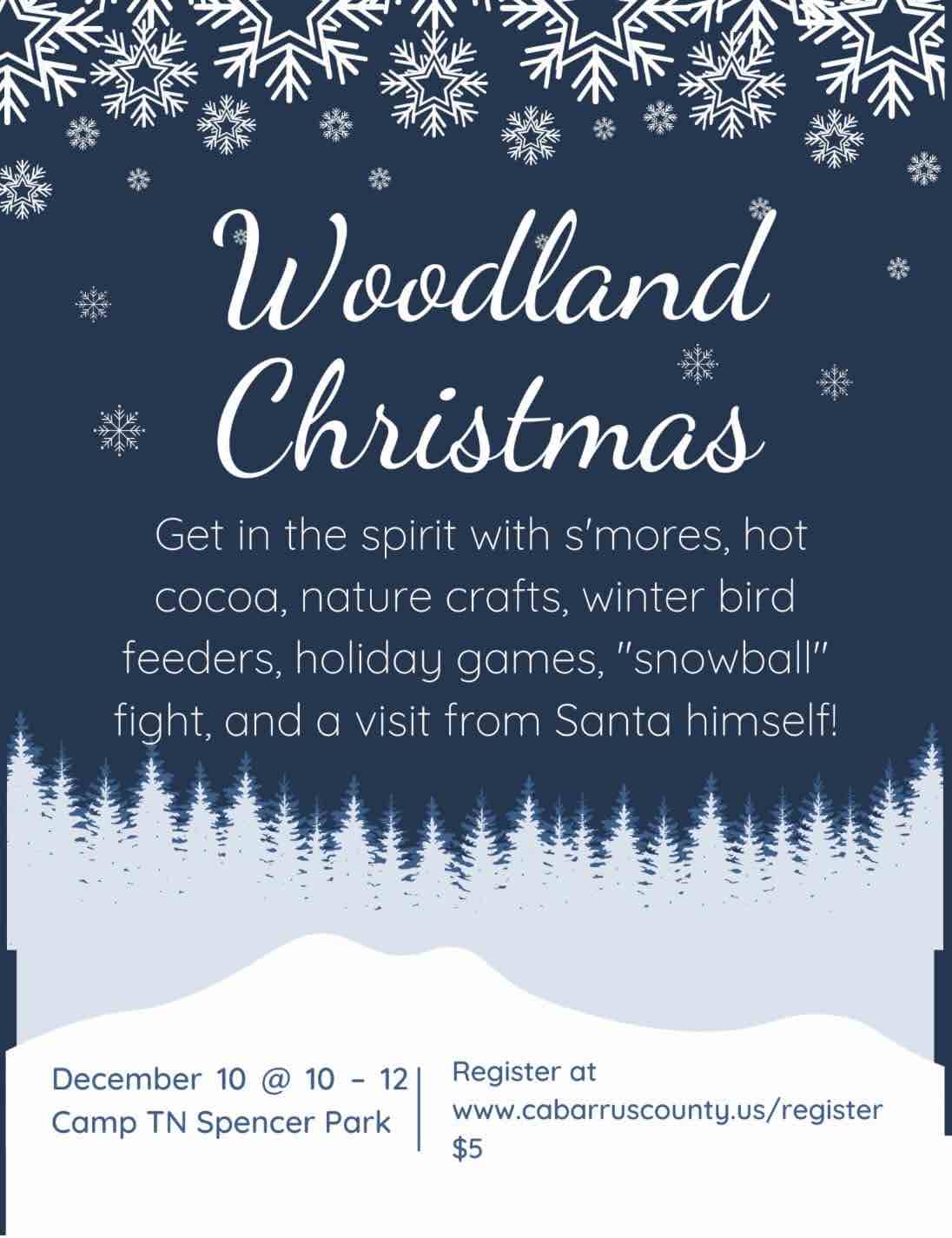 Woodland Christmas At Camp Tn Spencer Park In Concord, Including Santa 