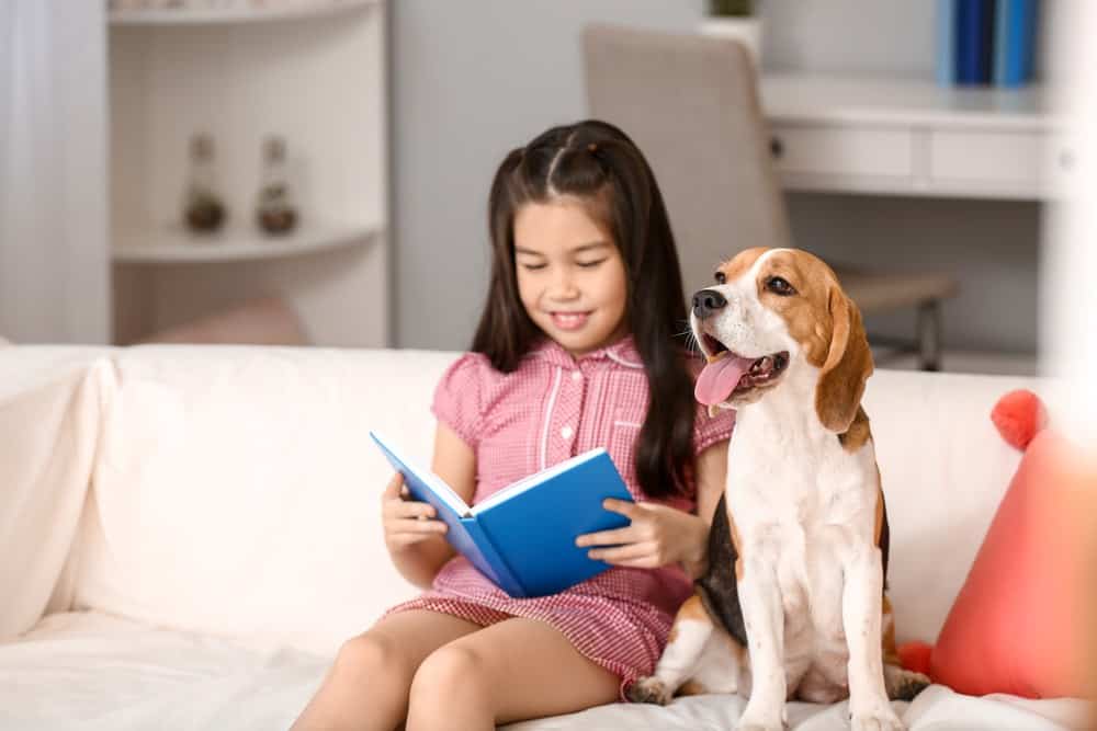 Why Your Child Should Read To A Dog - And Where To Do It In Charlotte 